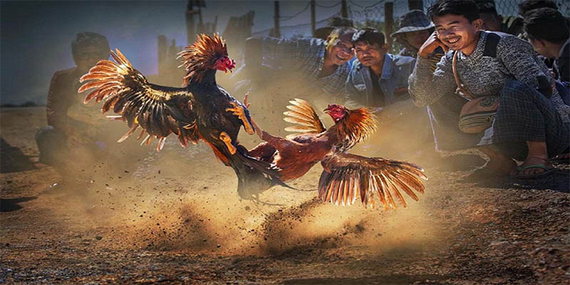 ok king xổ số bữa nay