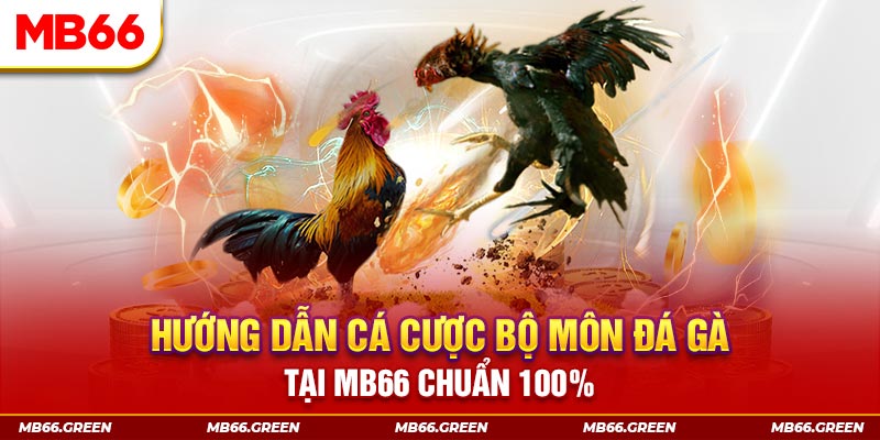ok king slot là gi