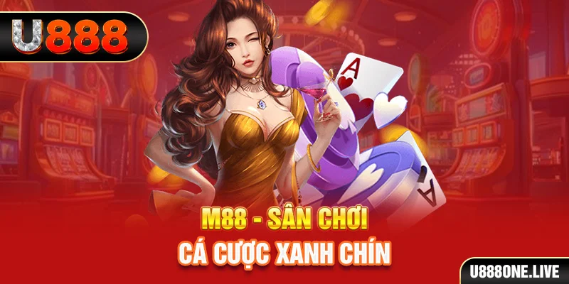 ok king kết quả xổ số miền trung hôm nay