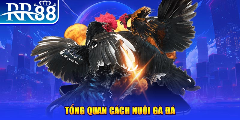ok king game nổ hũ rút tiền mặt là gì