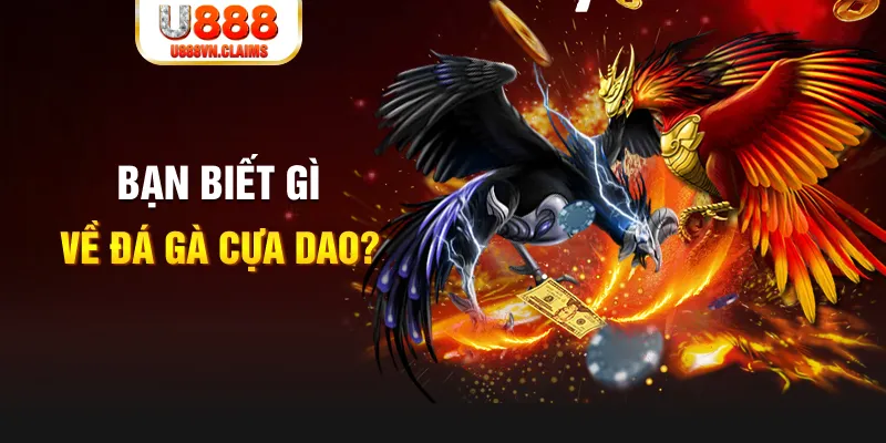 ok king SW Xổ Số