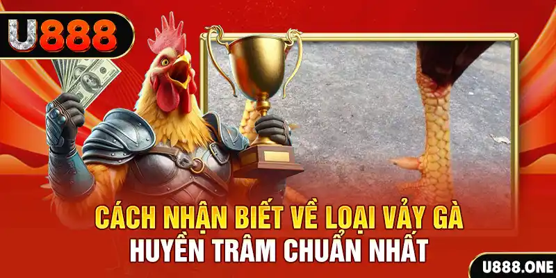 ok king đăng nhập nổ hũ số 1