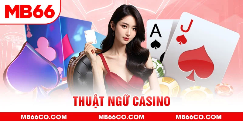 ok king gà chọi c1 mới nhất