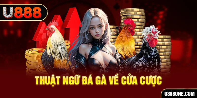 ok king hơn cả bạn bè