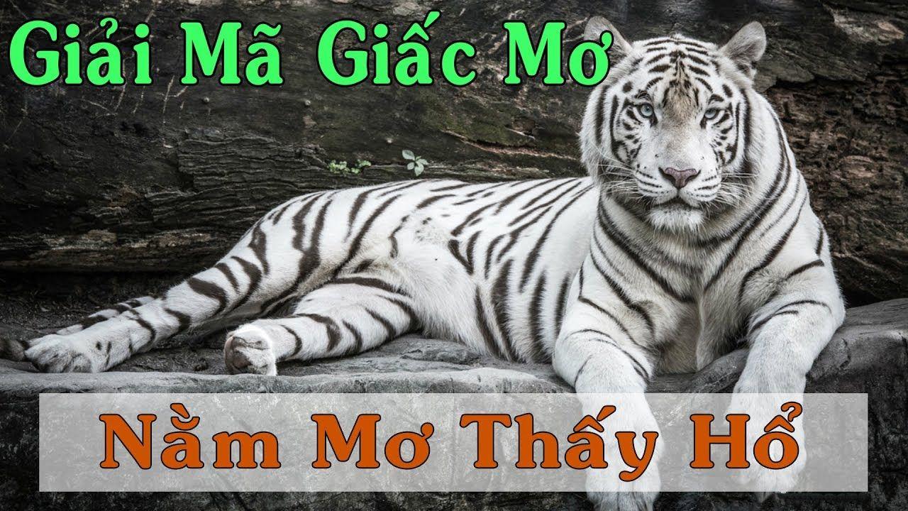 ok king nổ hũ là game gì