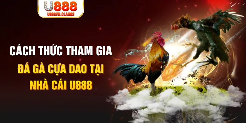 ok king Cỡ bảy