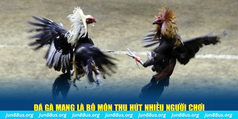 ok king nổ hủ nghĩa là gì