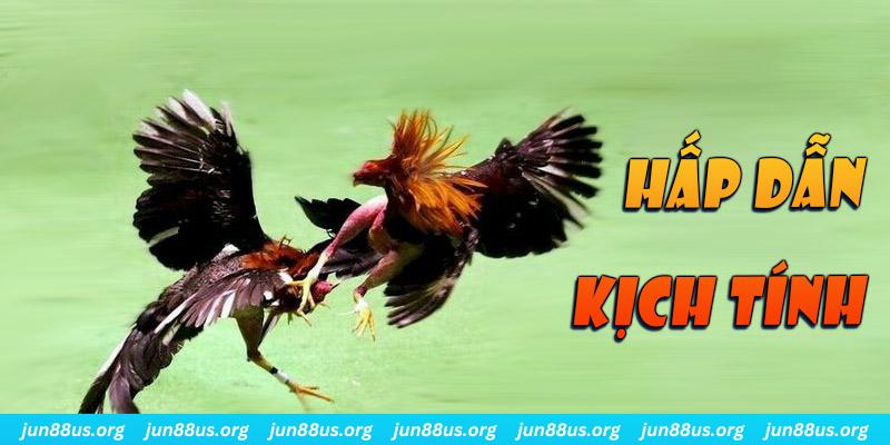 ok king đăng nhập roulette online