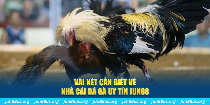 ok king đăng nhập phỏm khuyến mãi