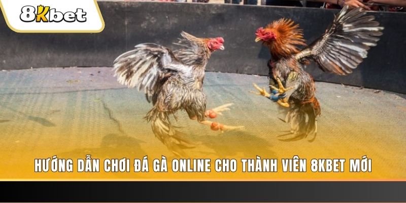 ok king JILI Game Bài 3d