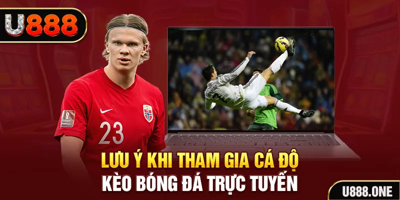 ok king đăng nhập tiến lên miền nam khuyến mãi
