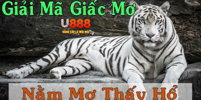 ok king xổ số miền bắc xổ số miền bắc
