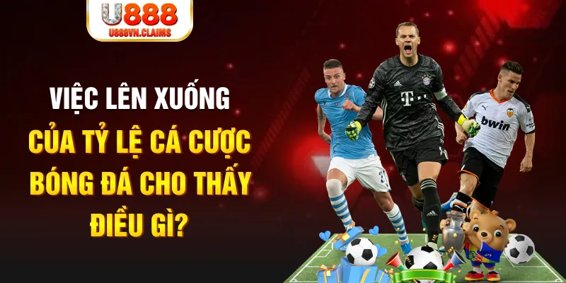 ok king xổ số tiền giang