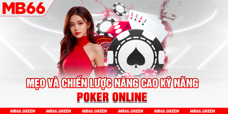 ok king chổi lông gà