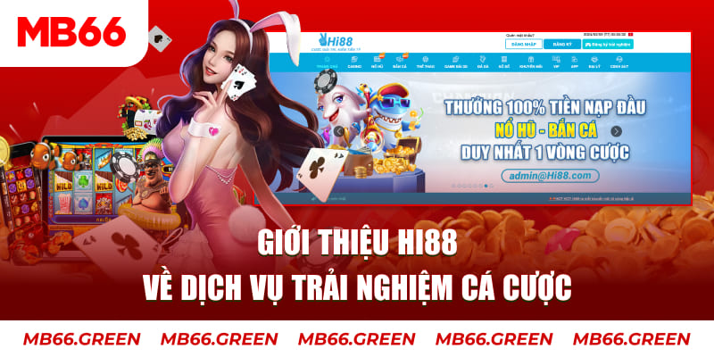 ok king đăng nhập lô đề trực tiếp