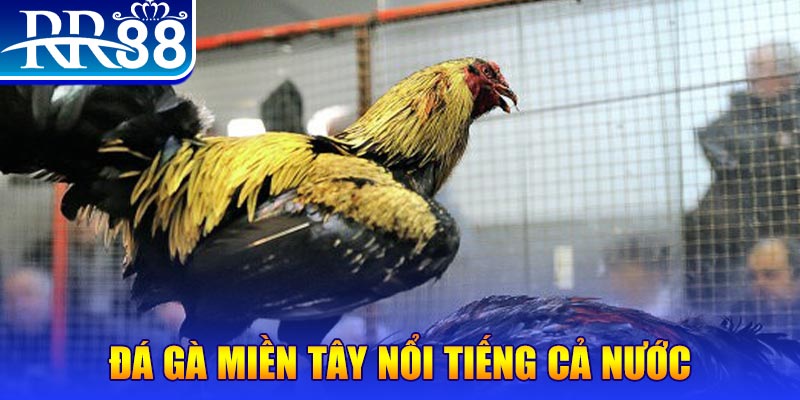 ok king xổ số đại phát