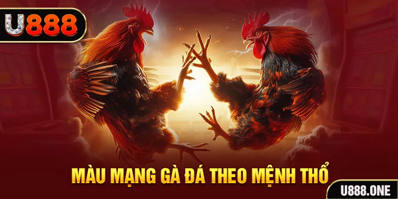 ok king đăng nhập sòng bạc hàng đầu
