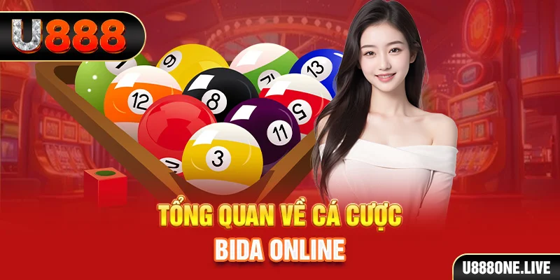 ok king kết quả xổ số kiến thiết miền bắc
