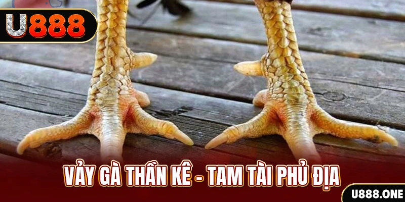 ok king xổ số miền trung thứ hai hàng tuần