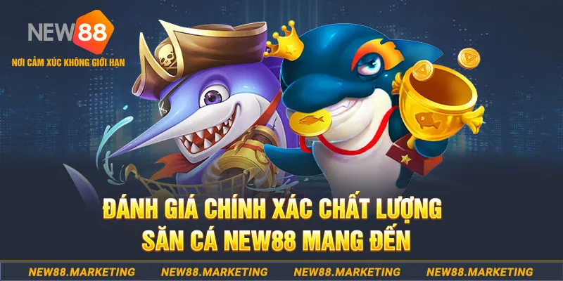 ok king đăng nhập mậu binh mới nhất