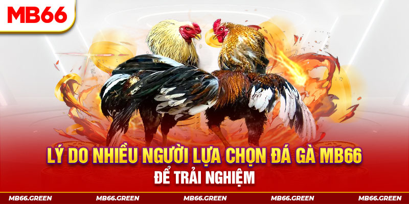 ok king đăng nhập liêng trực tiếp