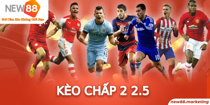 ok king baccarat có bịp không