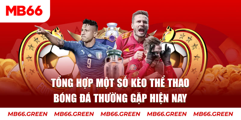 ok king người chia bài trong casino gọi là gì