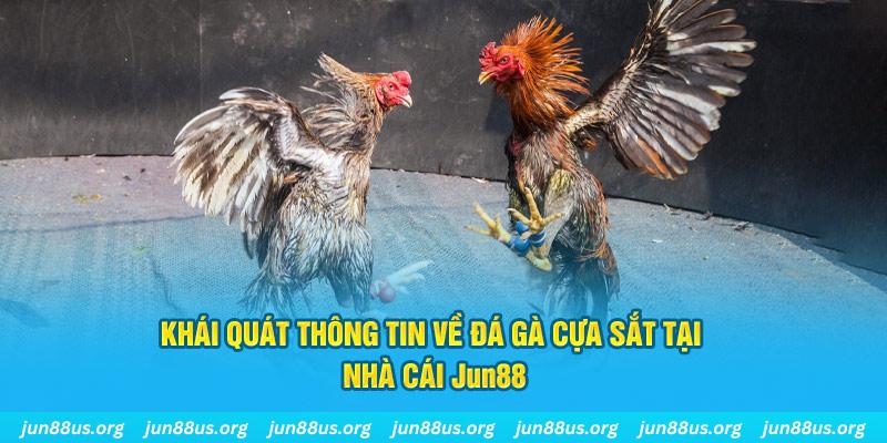 ok king xổ số miền bắc thứ bảy hàng tuần