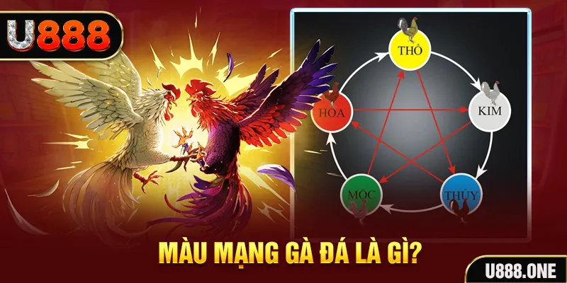ok king xổ số miền trung thứ tư hàng tuần