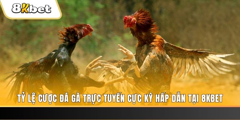 ok king đăng nhập nổ hũ trực tuyến