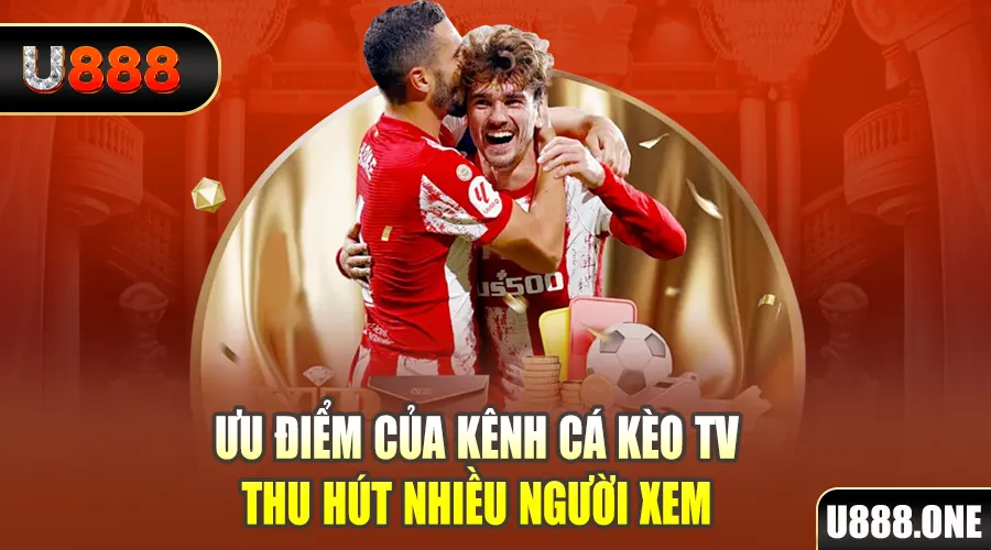 ok king gà chọi cu cần