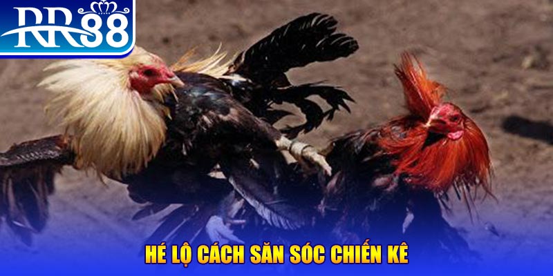 ok king xổ số miền trung thứ tư