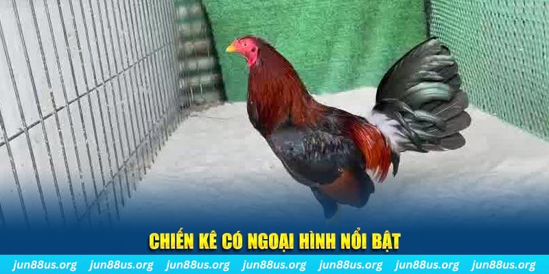 ok king game bắn cá