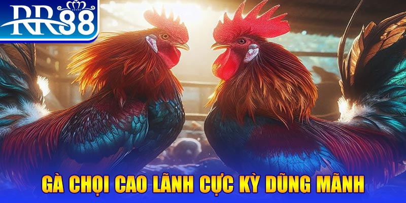 ok king HB Điện Tử