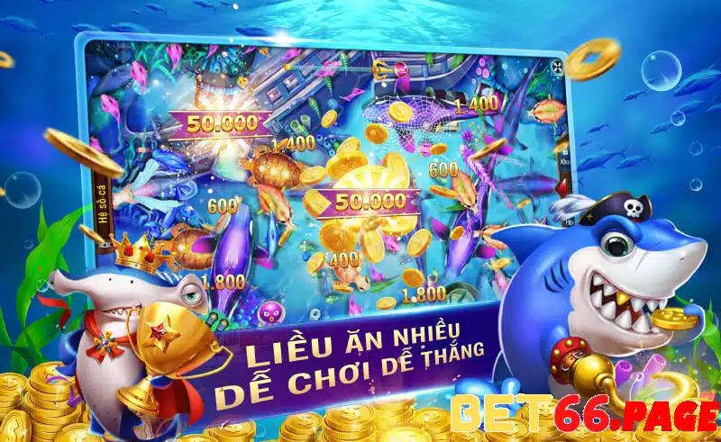 ok king 1 slot là gì