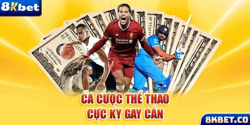 ok king xem đá gà trực tiếp